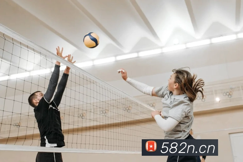 足球世界杯官网中文版平台生态图